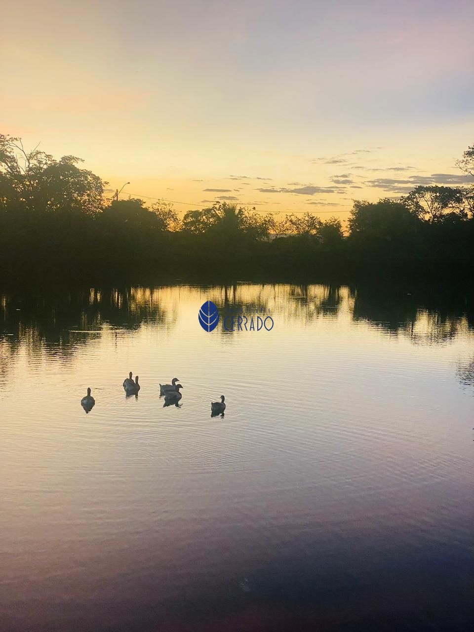 Casa de Condomínio, 3 quartos - Foto 43