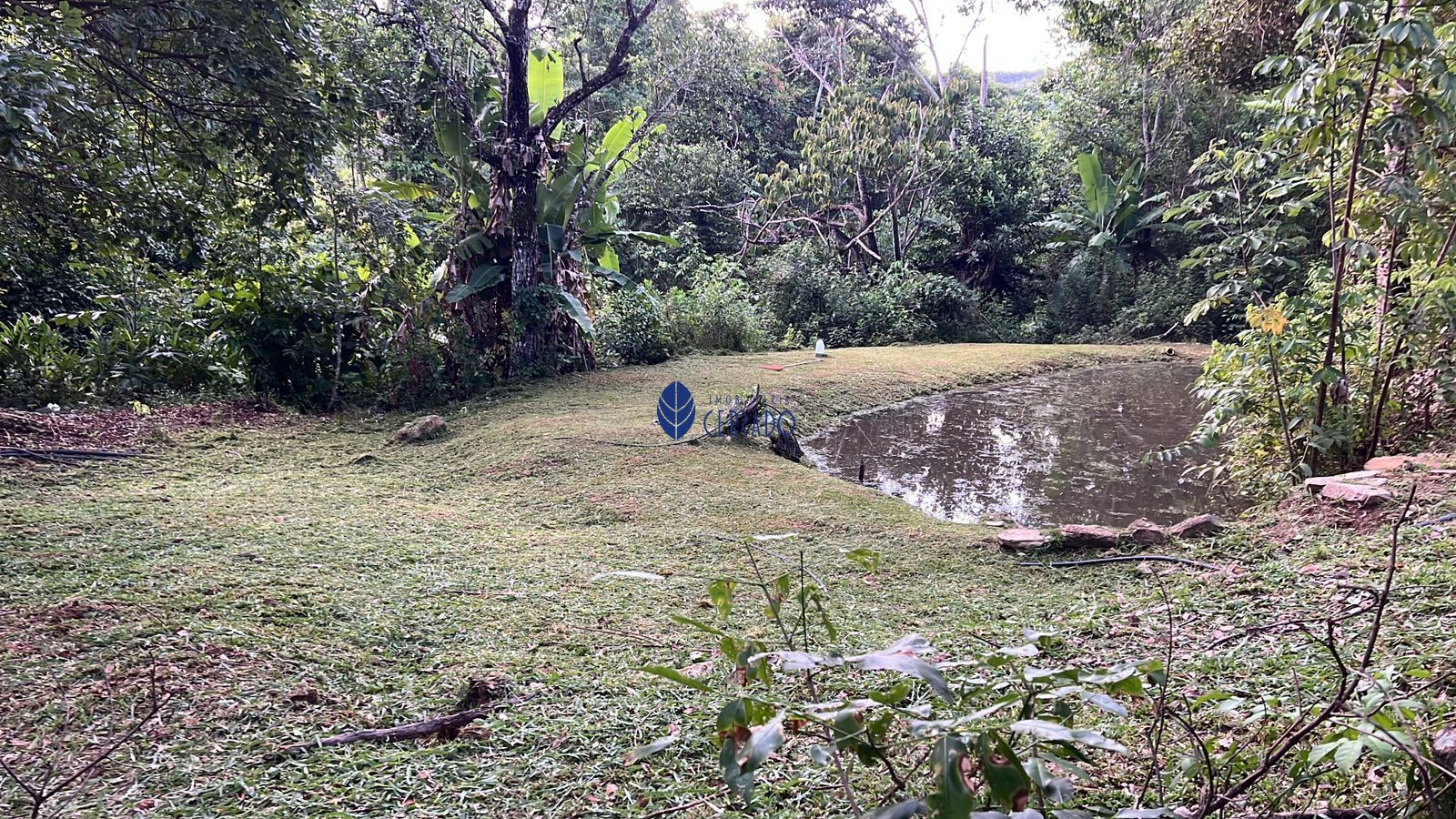 Sítio, 3 quartos, 32 hectares - Foto 23