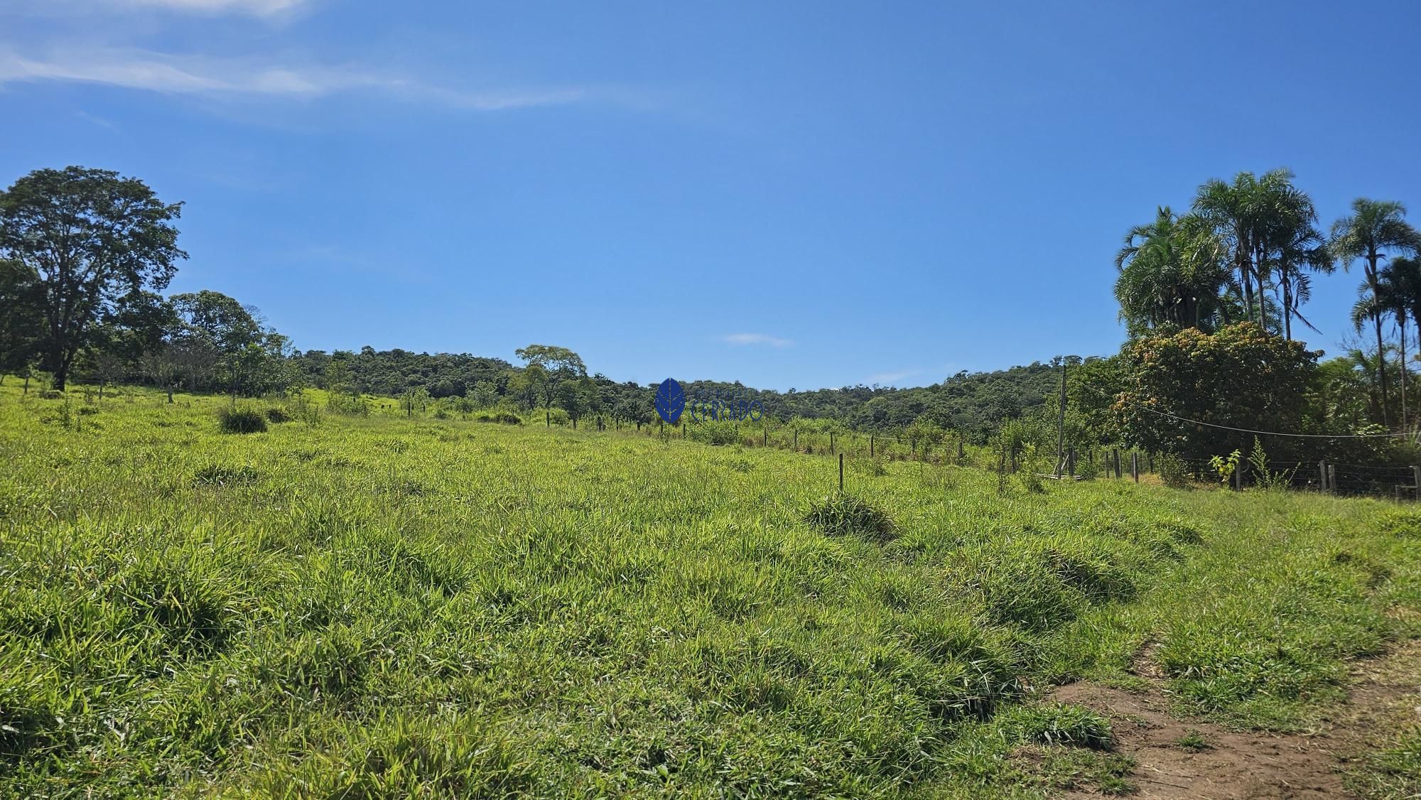 img77640690
