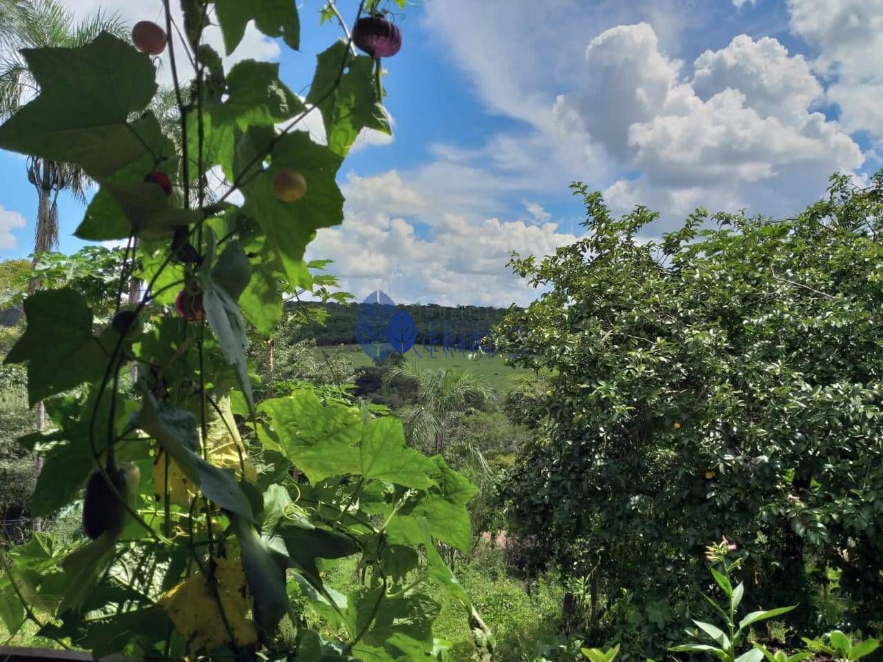 Fazenda à venda com 3 quartos, 120m² - Foto 15