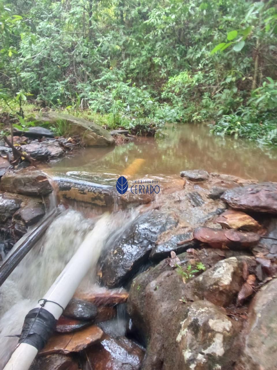 Sítio, 3 quartos, 32 hectares - Foto 22