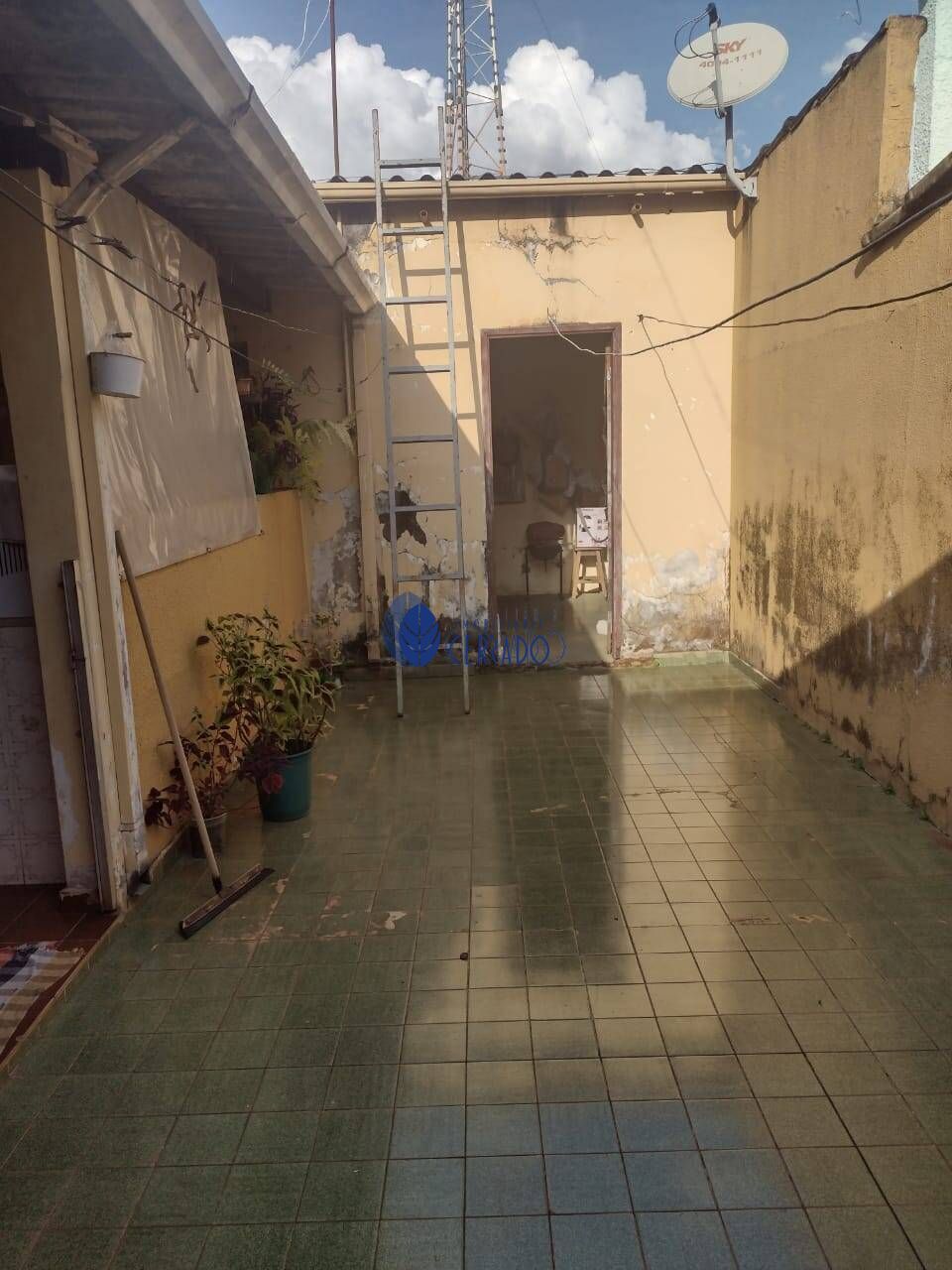 img31528853