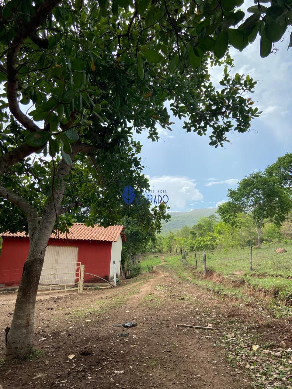 Sítio, 3 quartos, 32 hectares - Foto 14