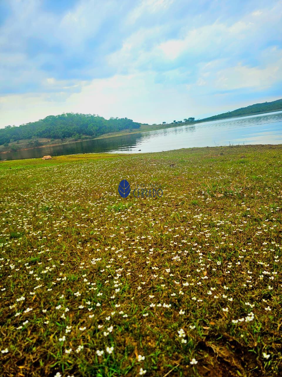 Terreno/Lote à venda, 20.000 m² por R$ 750.000,00