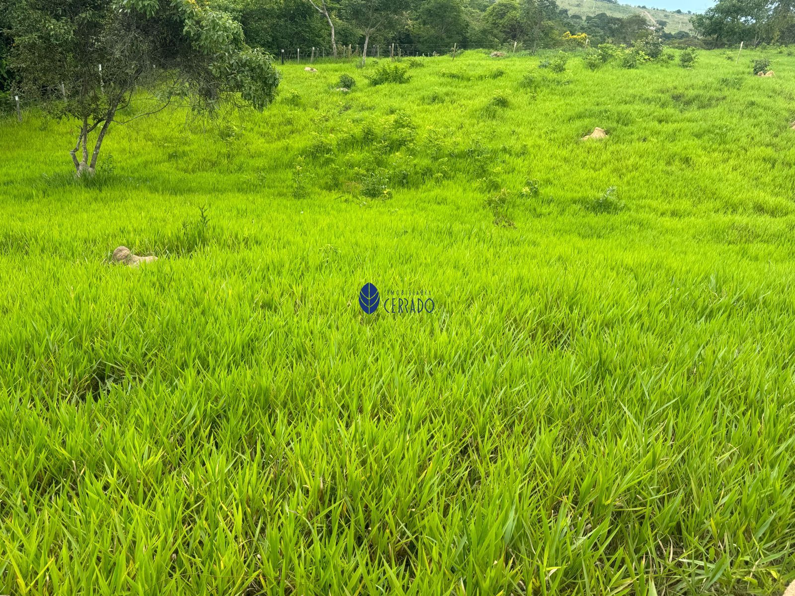 Lote/Terreno de 39m² no bairro Zona Rural, em Abadiânia | Eu Corretor