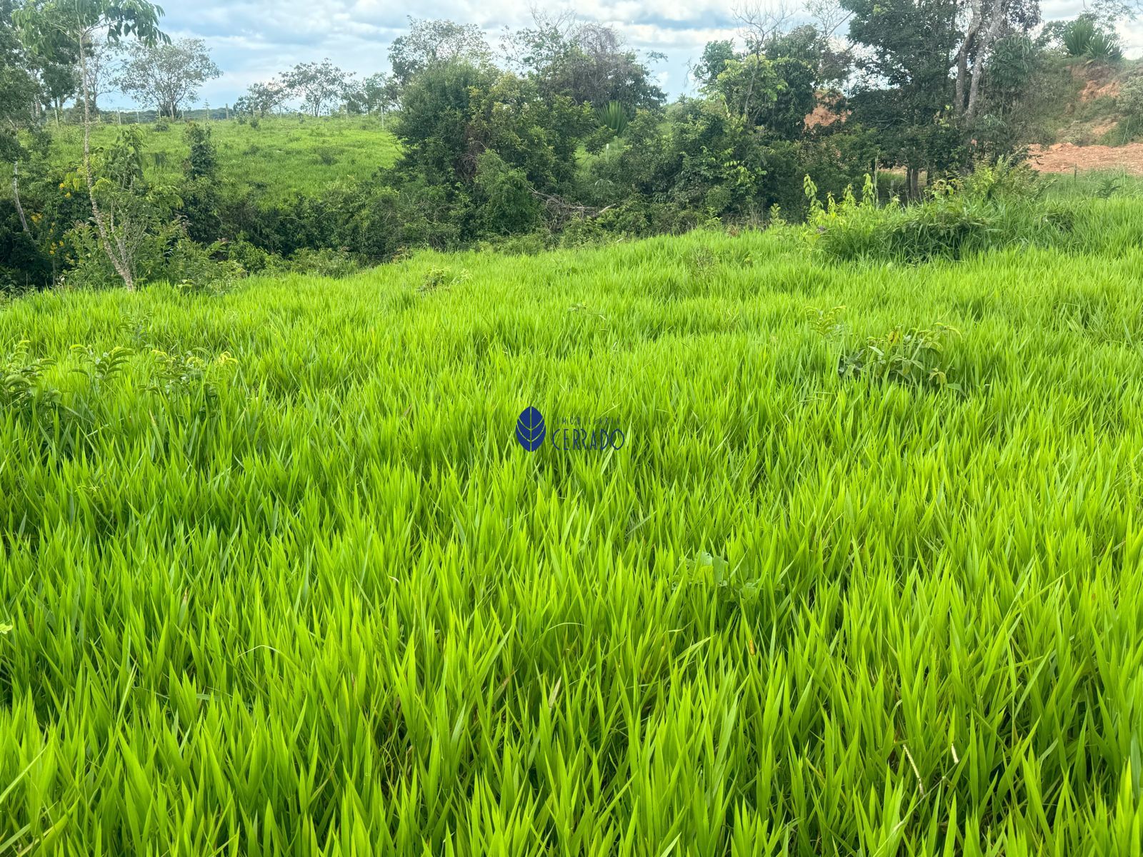 Lote/Terreno de 39m² no bairro Zona Rural, em Abadiânia | Eu Corretor