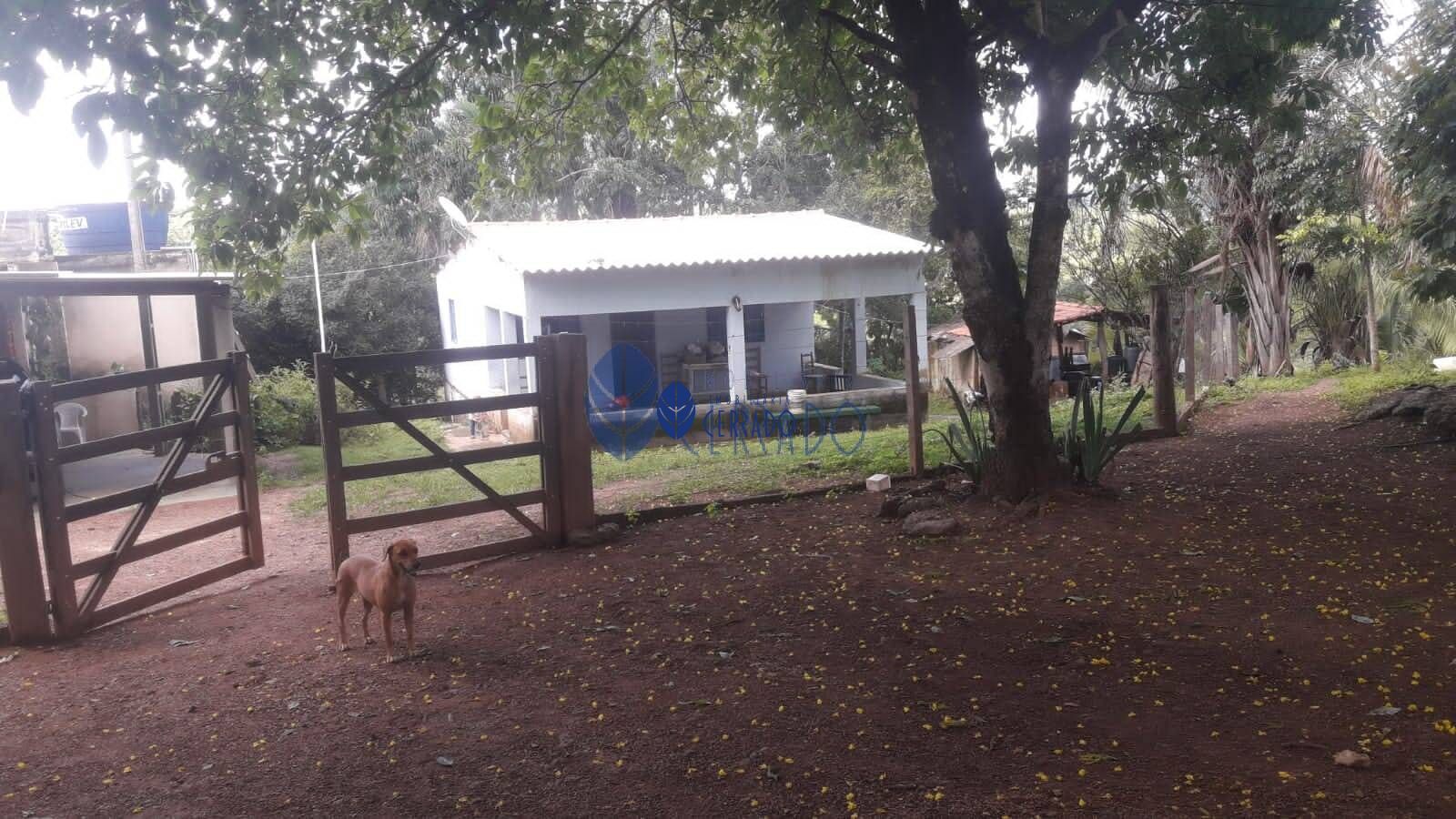 Fazenda à venda com 3 quartos, 120m² - Foto 31