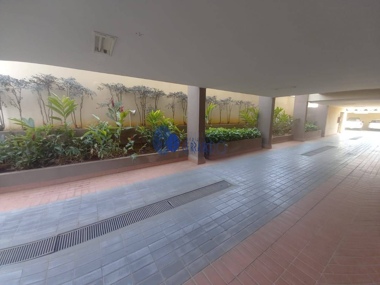 img31527607
