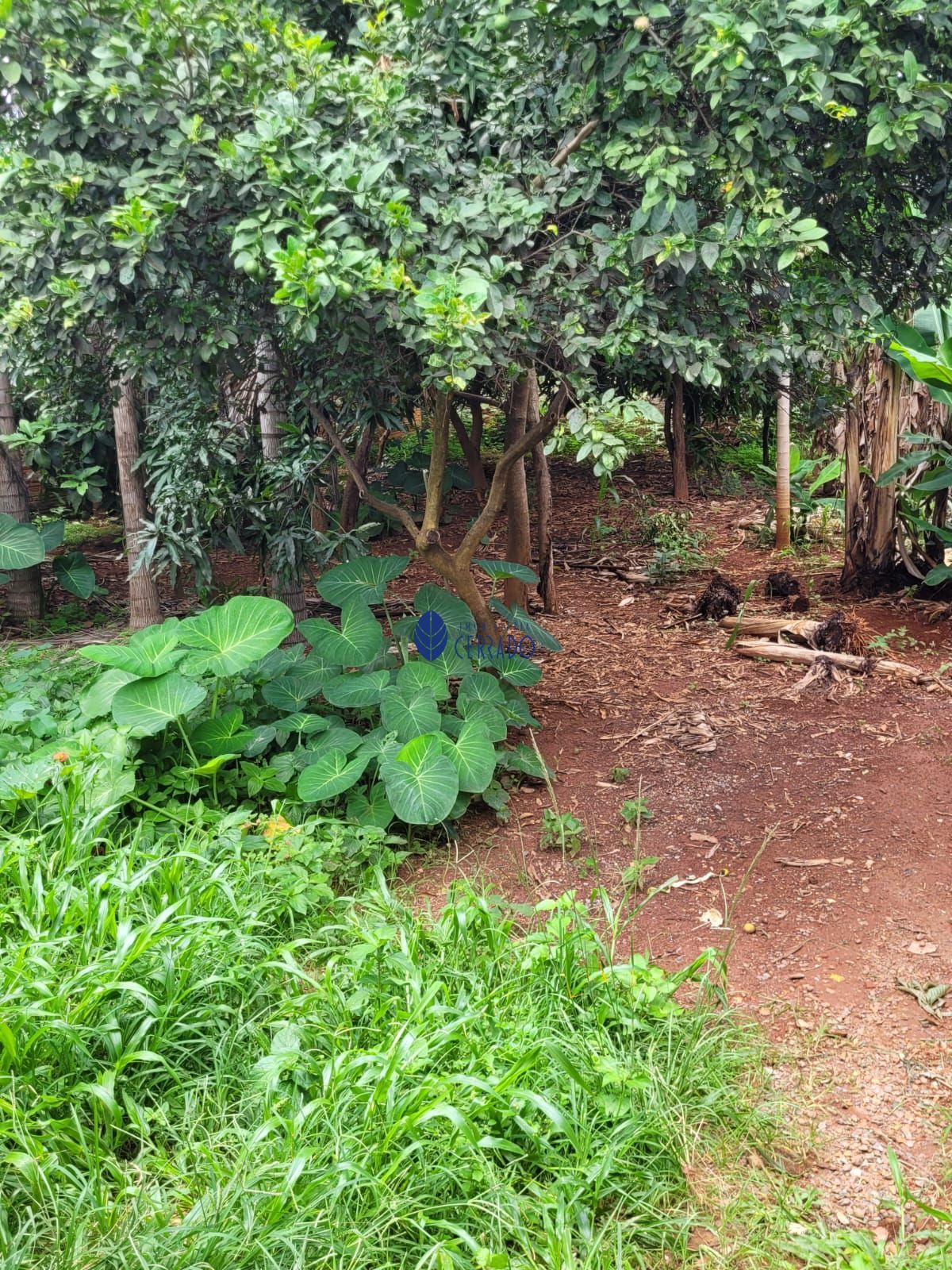 Terreno/Lote à venda, 300 m² por R$ 260.000,00