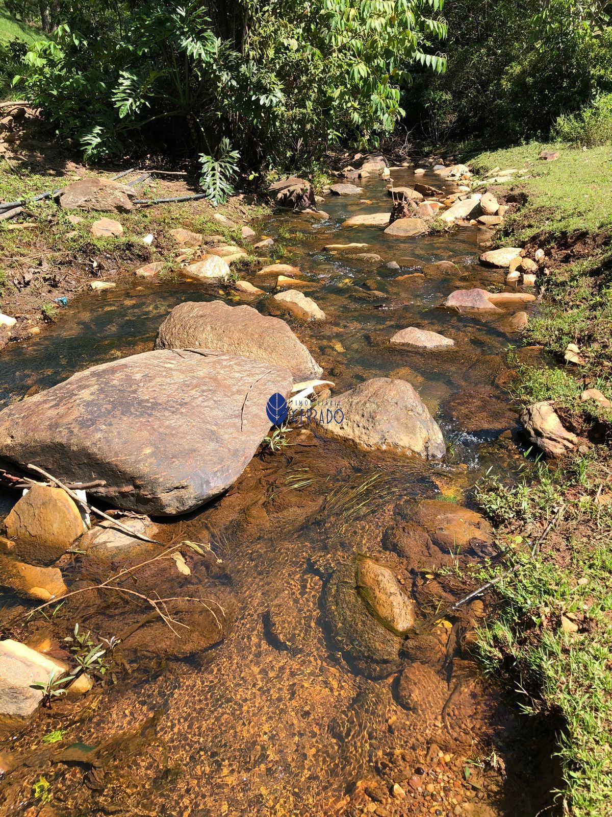 Sítio, 3 quartos, 32 hectares - Foto 25