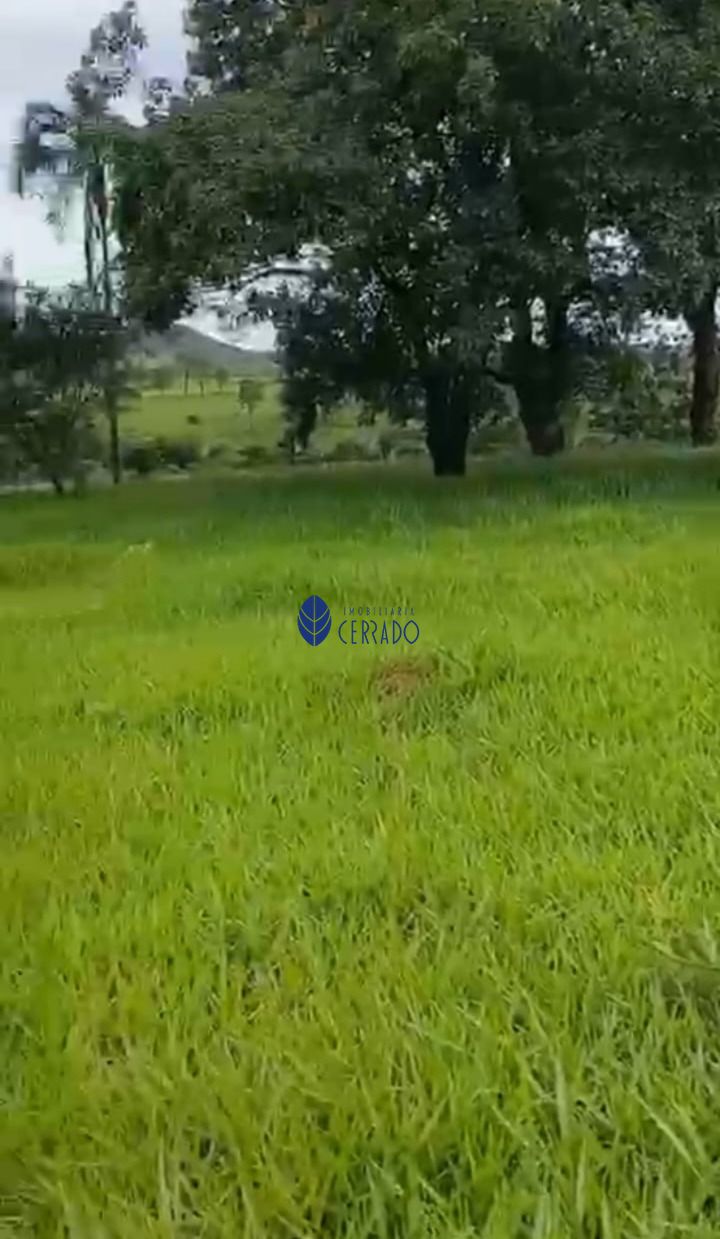Sítio, 5 quartos, 24 hectares - Foto 3