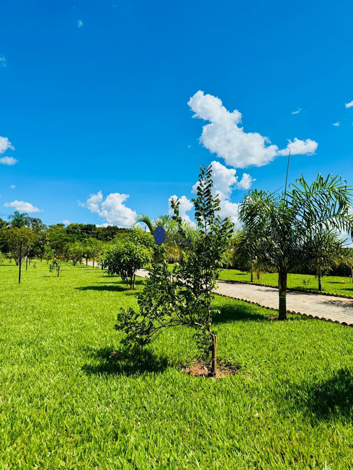 Casa de Condomínio, 3 quartos - Foto 41