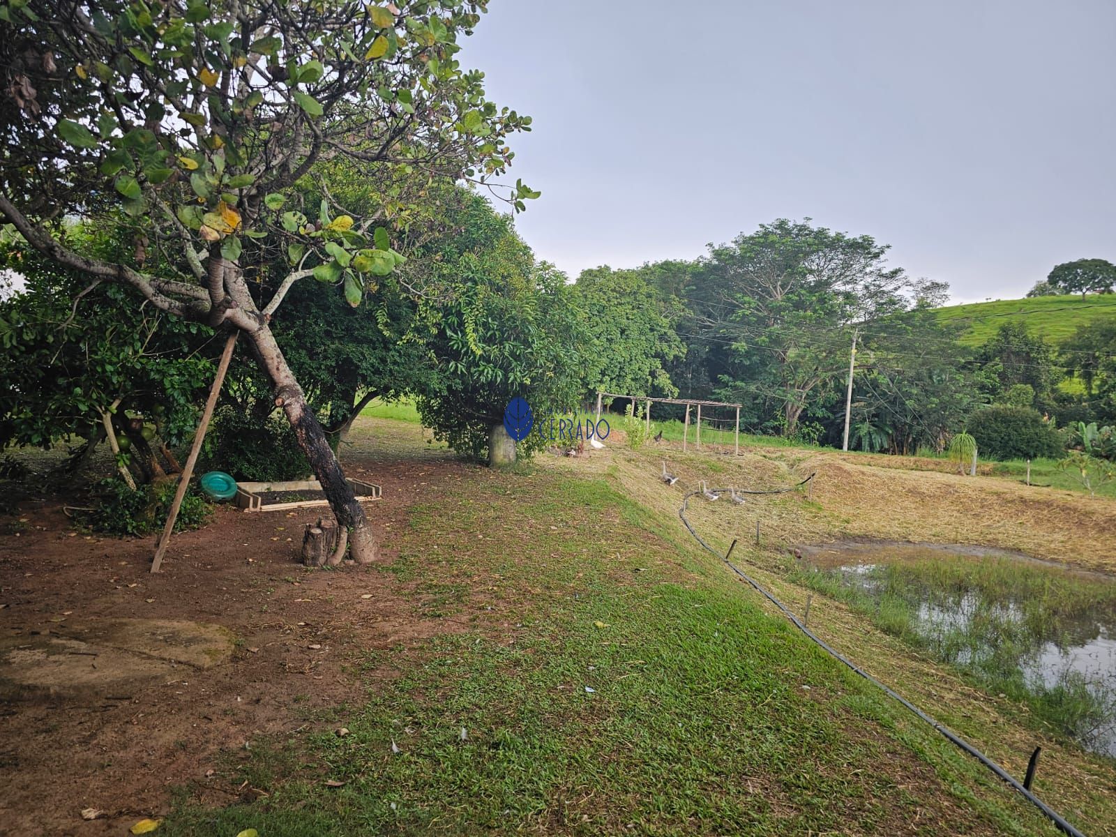 Chácara à venda com 4 quartos, 110m² - Foto 28