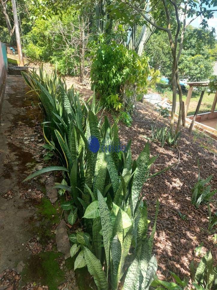 Chácara à venda com 1 quarto, 6500m² - Foto 15