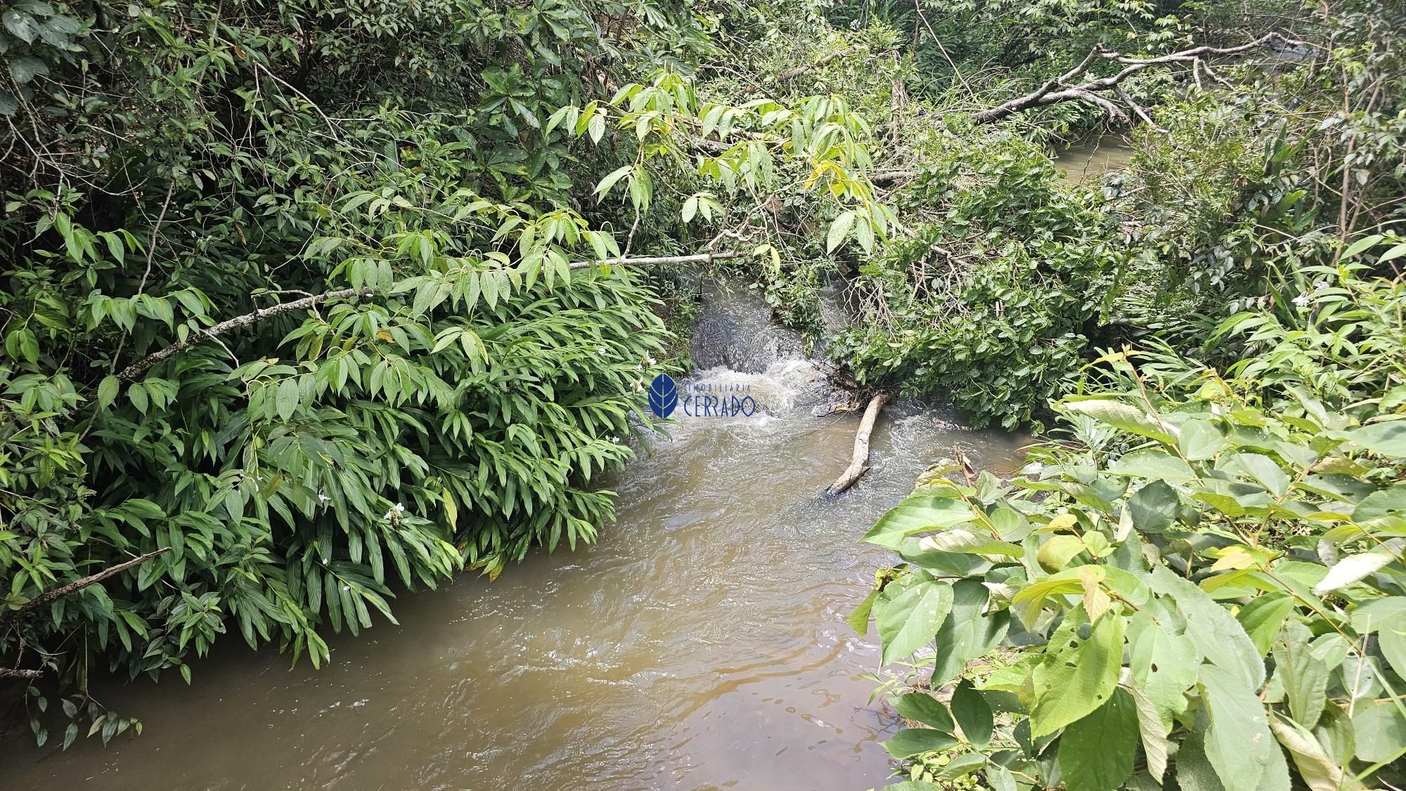 img77640680