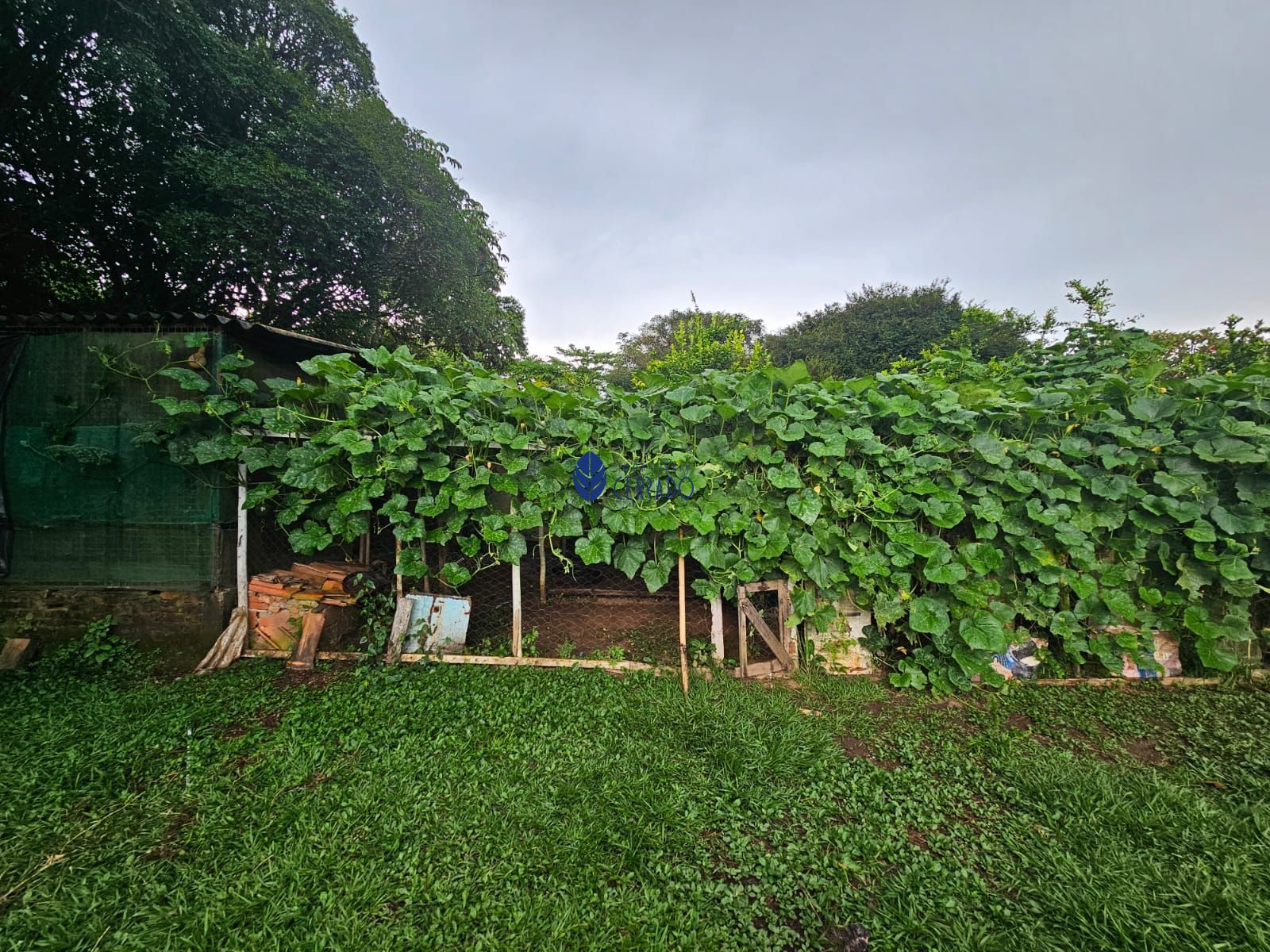 Chácara à venda com 4 quartos, 110m² - Foto 30