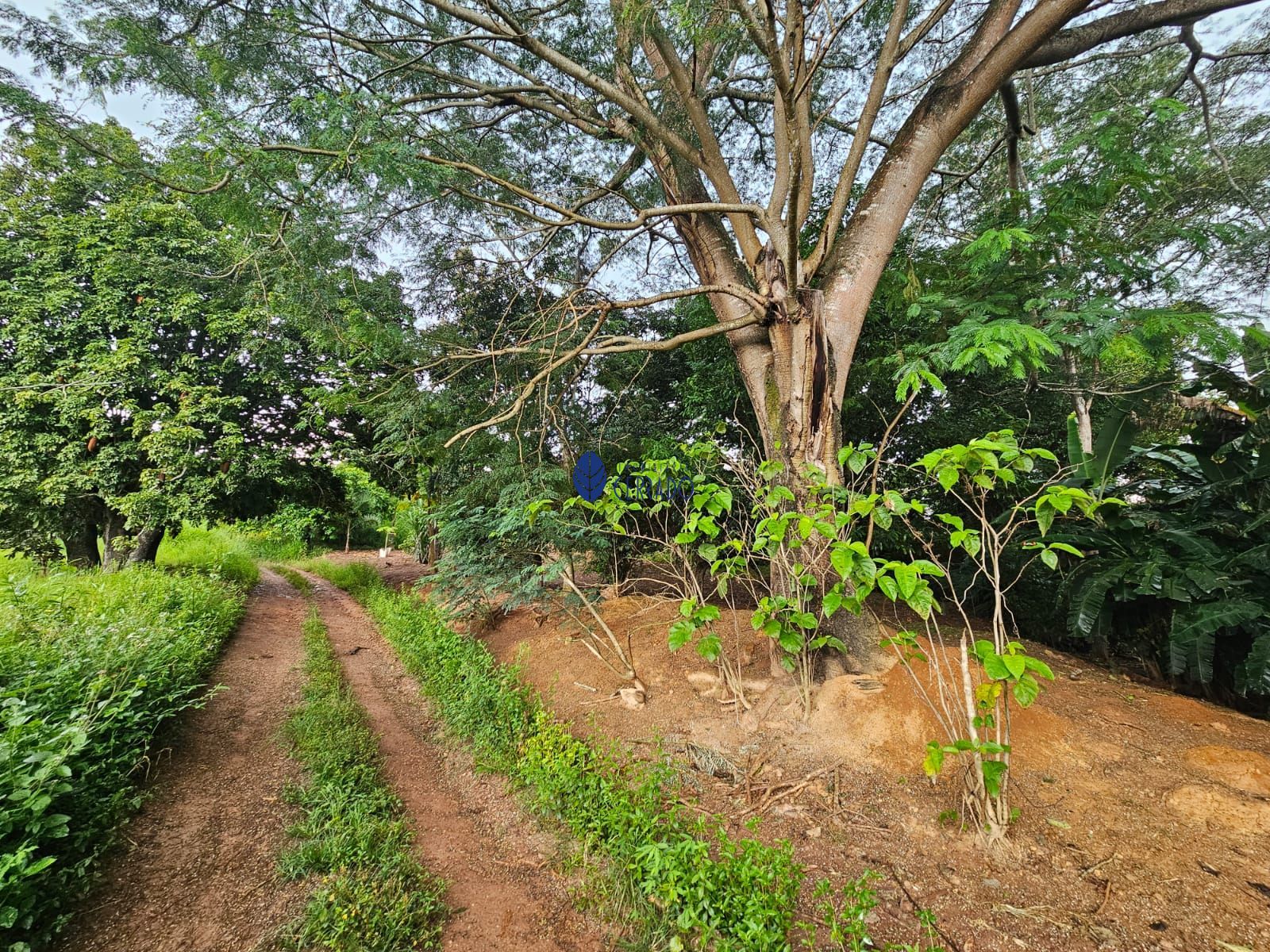 Chácara à venda com 4 quartos, 110m² - Foto 32