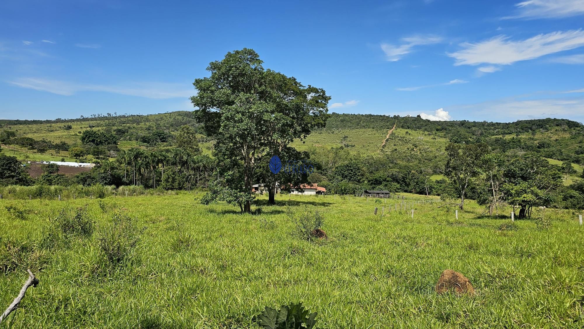 img77640672