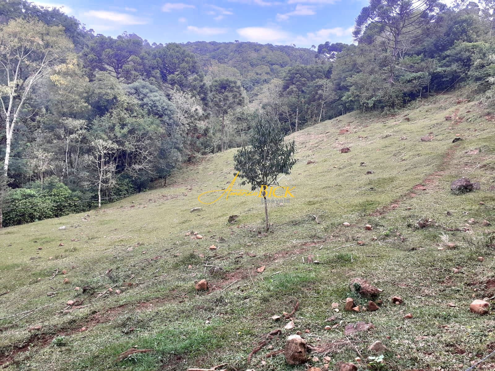 Chácara de 4 quartos, 130000m² no bairro Linha Santa Cruz, em Santa Cruz do Sul | Eu Corretor