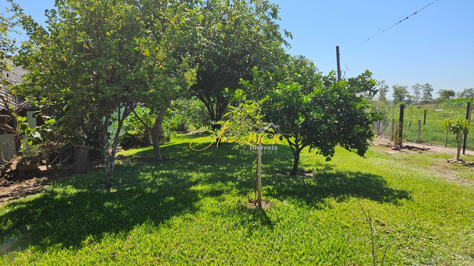 img79358496