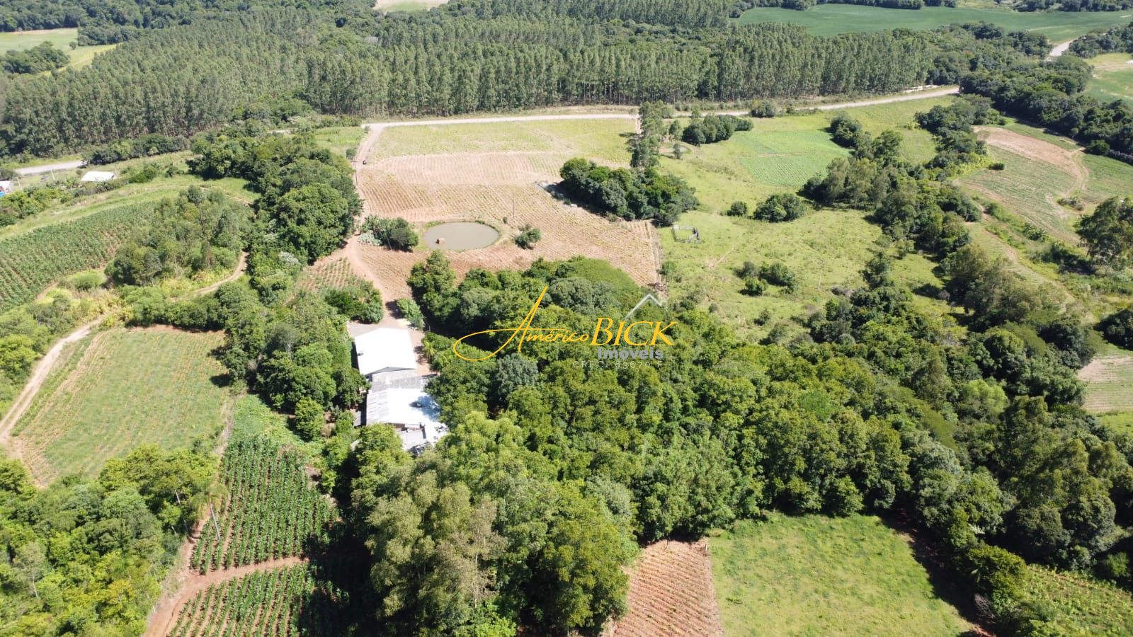 Fazenda à venda com 3 quartos, 150m² - Foto 4