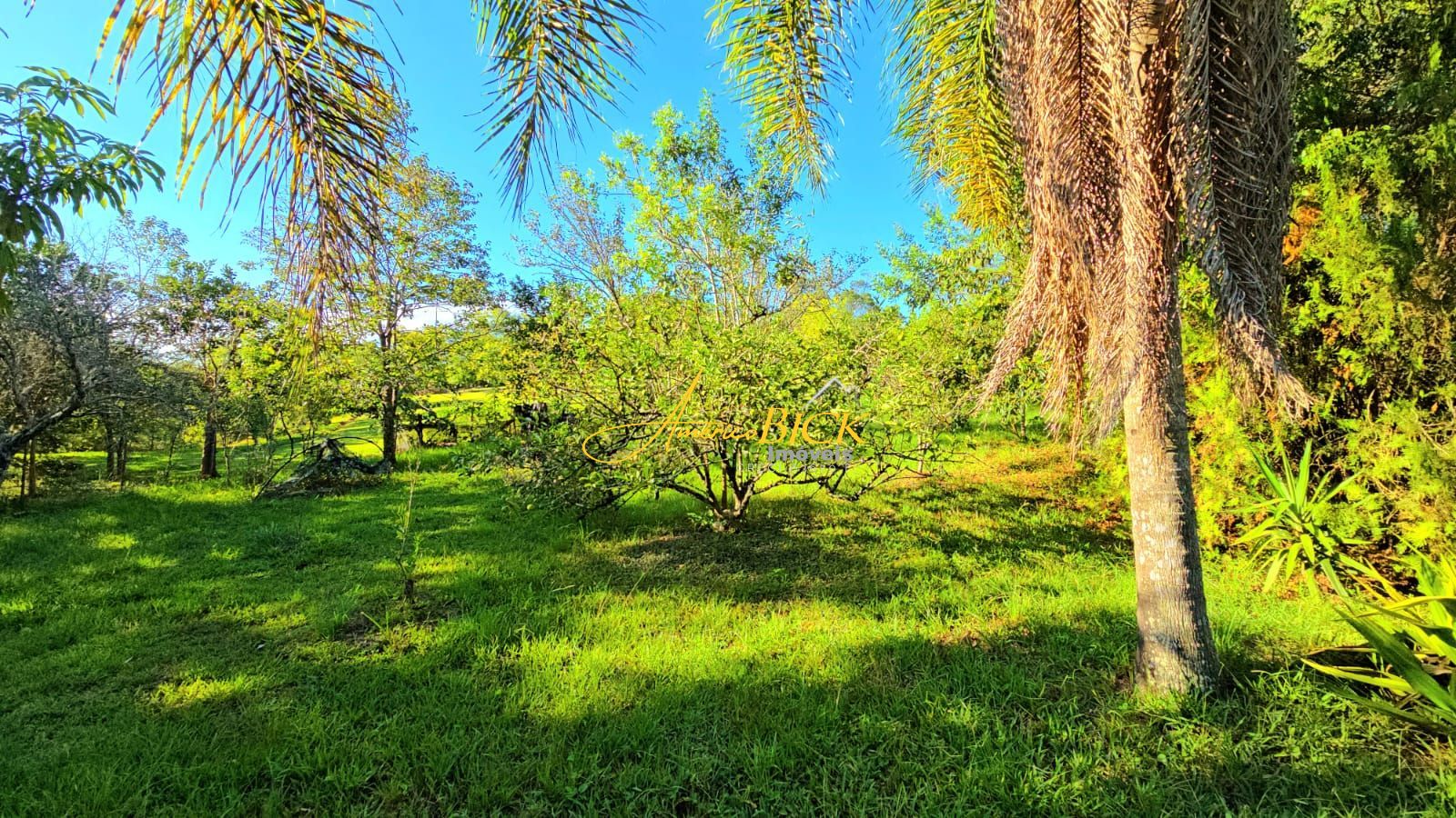 Fazenda à venda com 1 quarto, 280m² - Foto 4