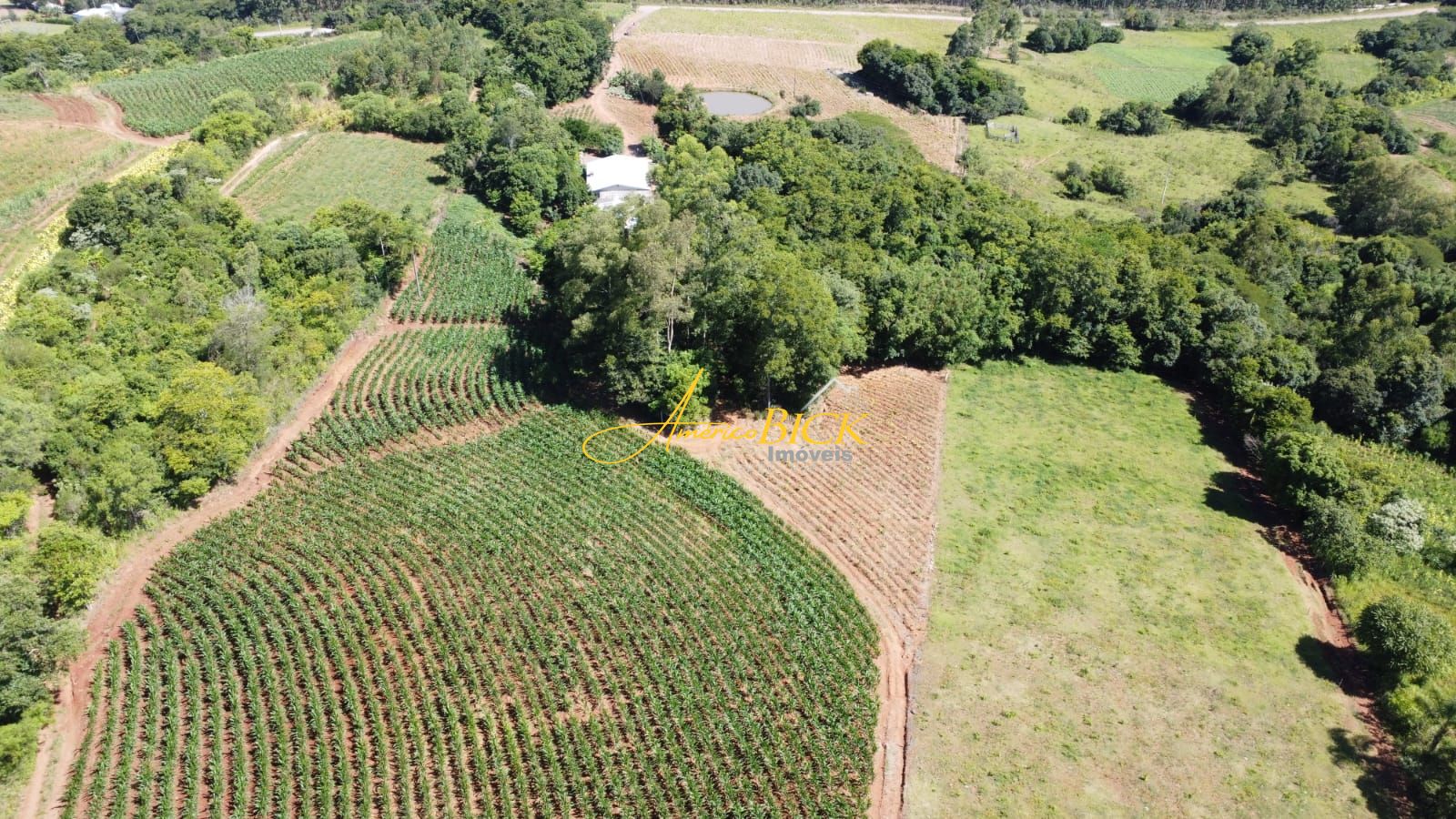 Fazenda à venda com 3 quartos, 150m² - Foto 3
