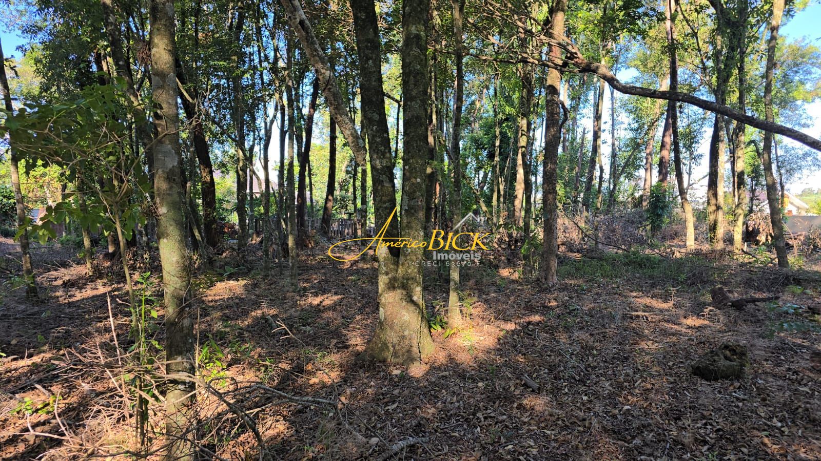 Lote/Terreno de 585m² no bairro Country, em Santa Cruz do Sul | Eu Corretor