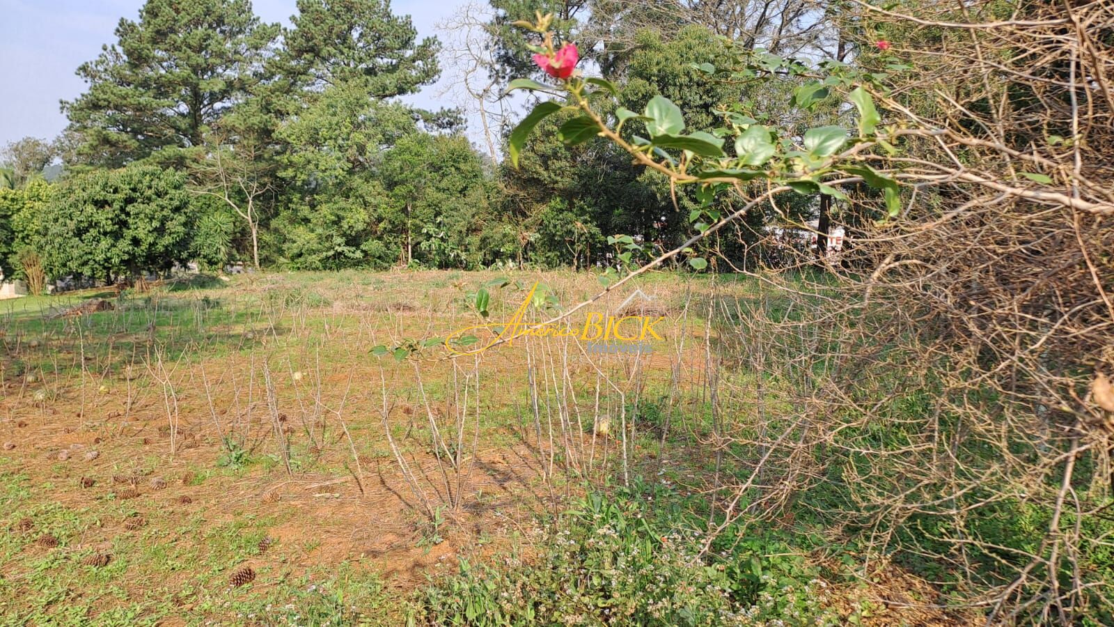 Lote/Terreno de 425m² no bairro Linha Santa Cruz, em Santa Cruz do Sul | Eu Corretor