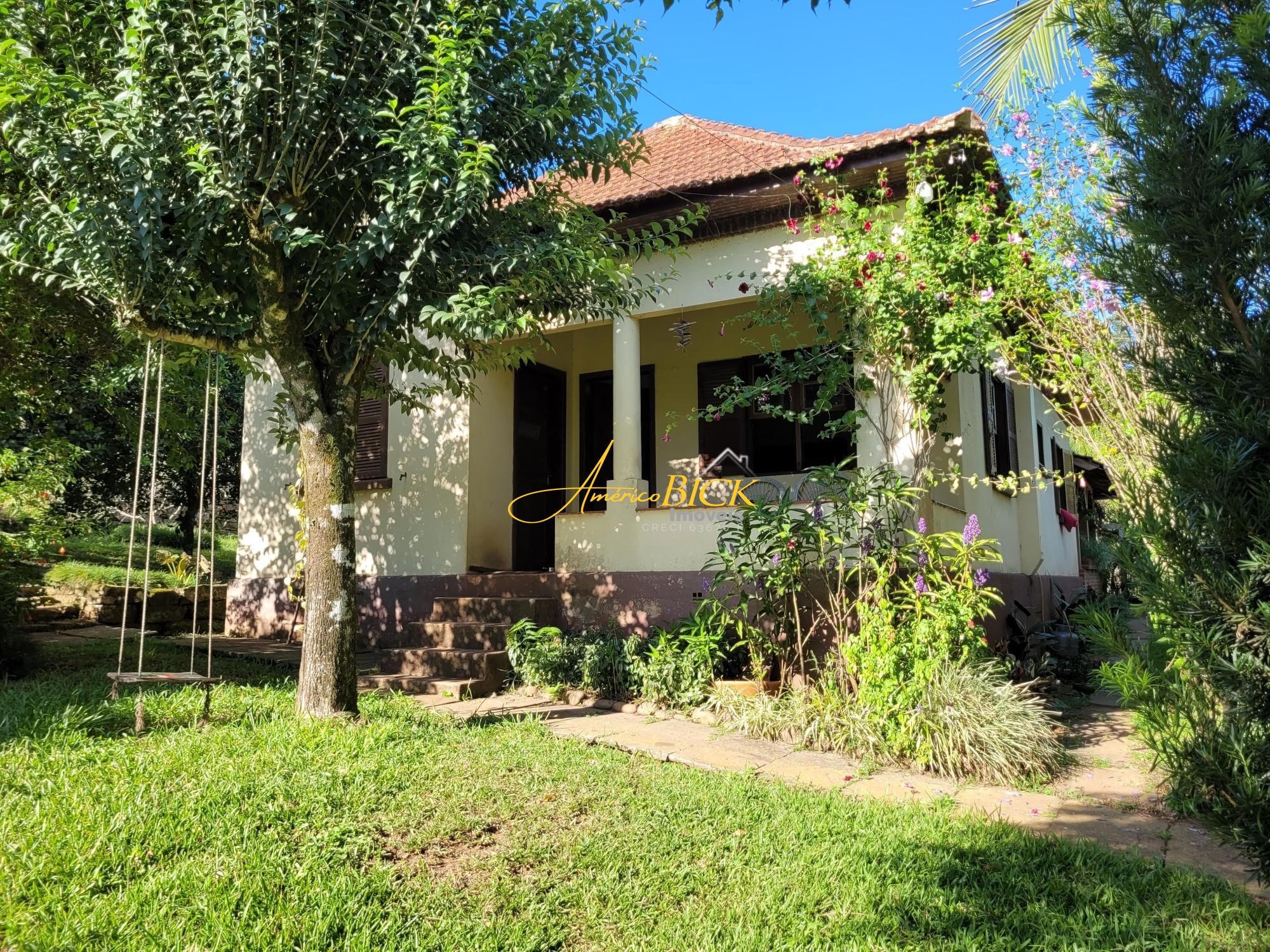 img120593843