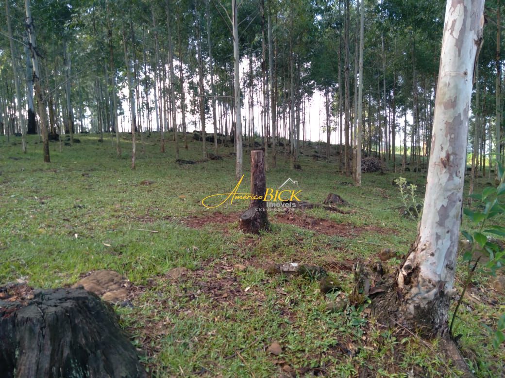 Chácara de 2 quartos, 90m² no bairro Entrada Rio Pardinho, em Santa Cruz do Sul | Eu Corretor