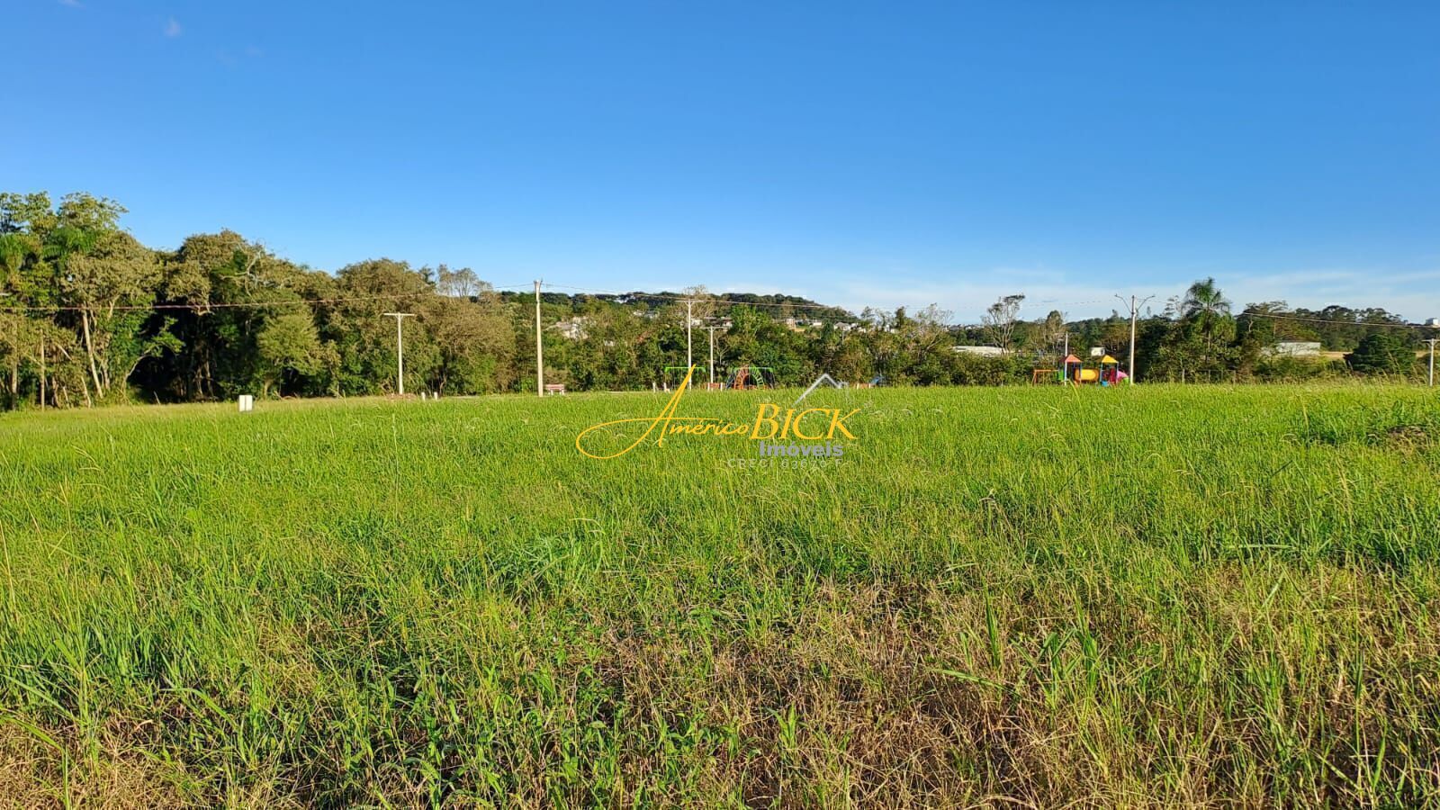 img73330993