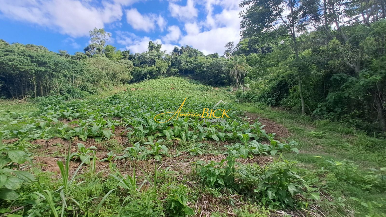 Chácara de 2 quartos, 120m² no bairro Zona rural, em Vale do Sol | Eu Corretor