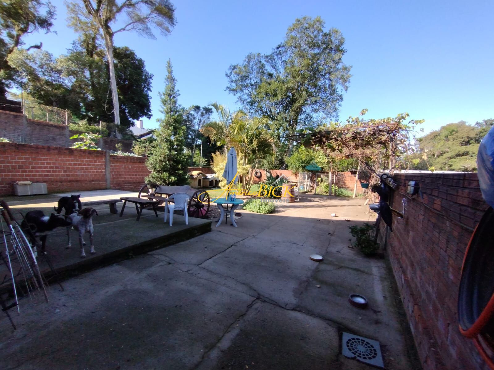 img62163650