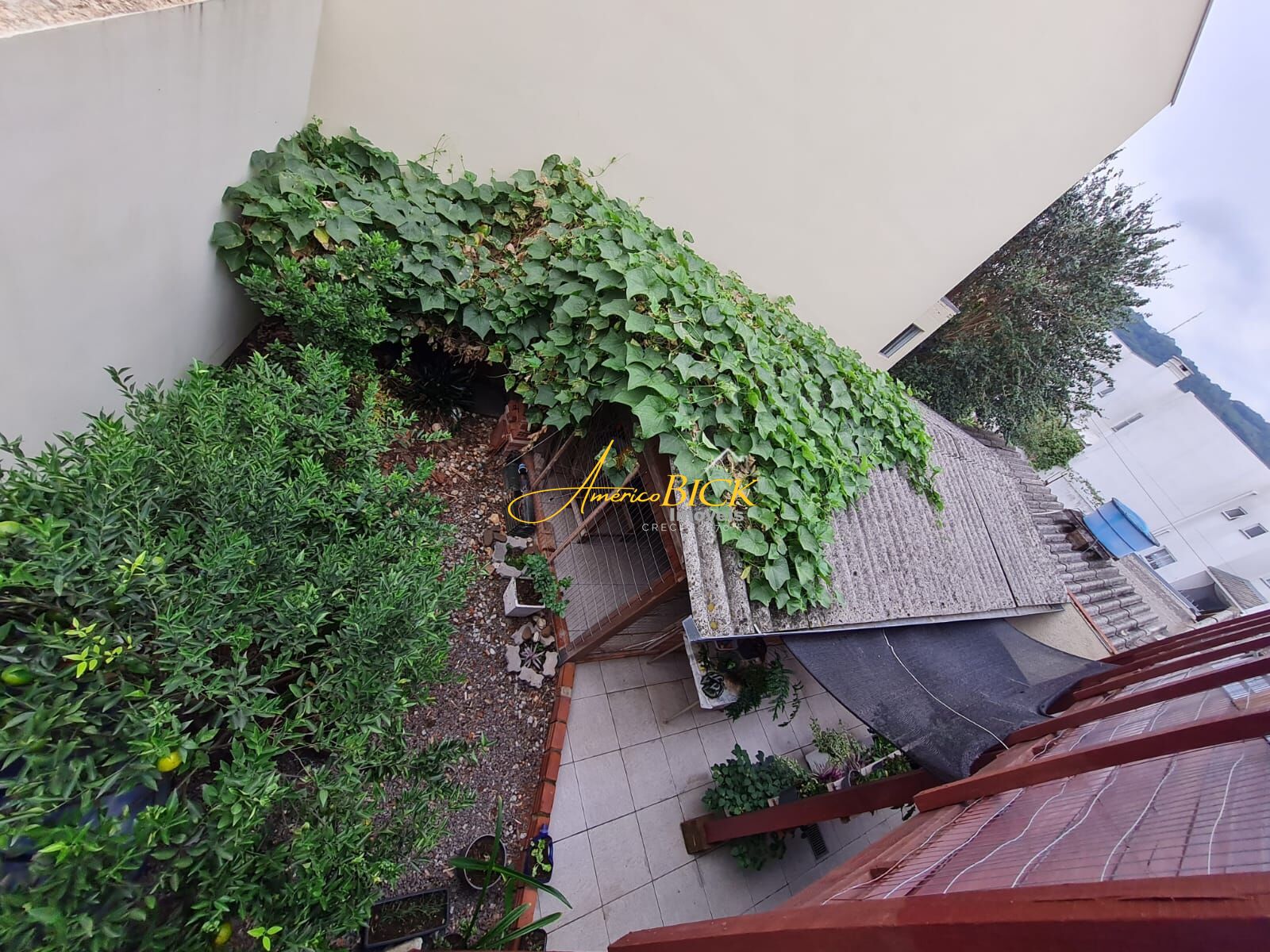 img62162630