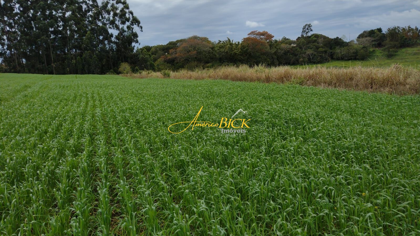 Fazenda/sítio/chácara/haras à venda  no Monte Alegre (Distrito) - Vale Verde, RS. Imóveis