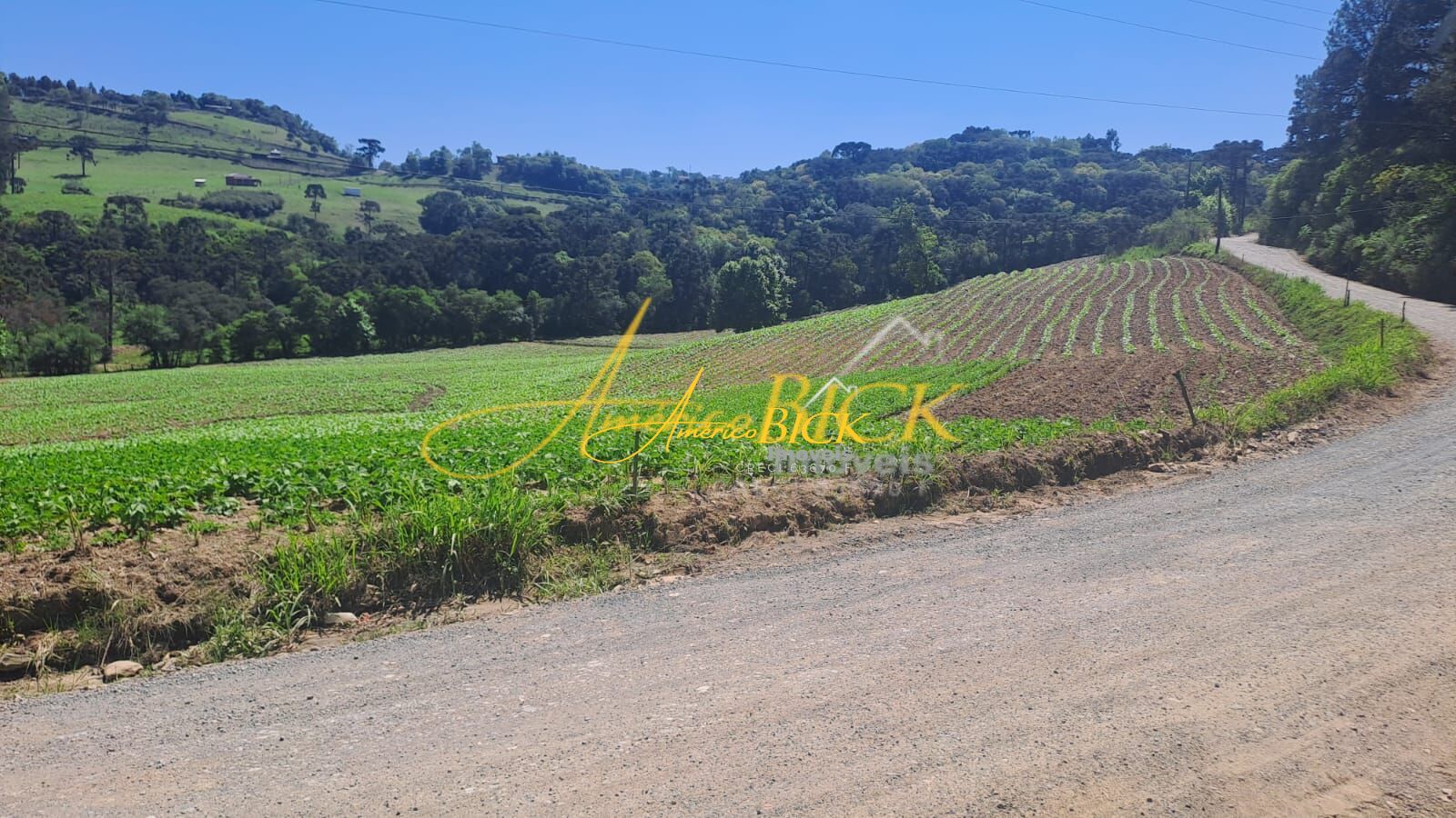 Fazenda/sítio/chácara/haras à venda  no Centro - Boqueirão do Leão, RS. Imóveis