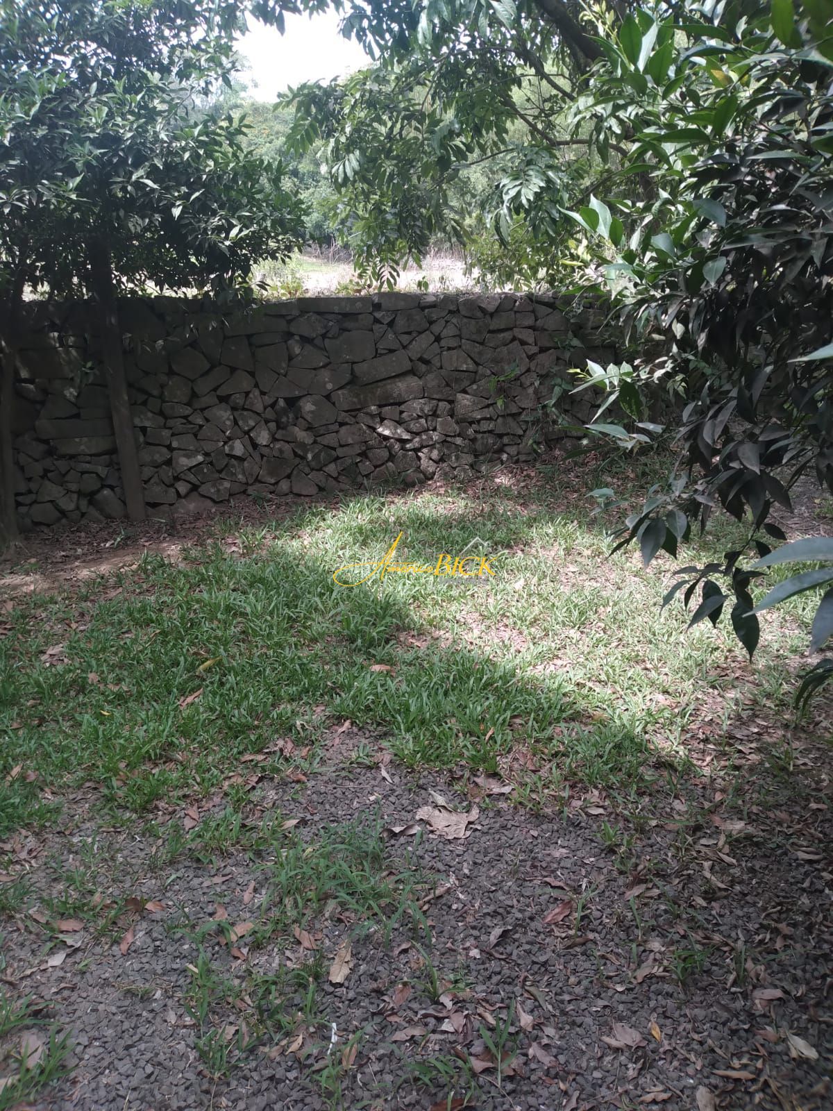 img64483948
