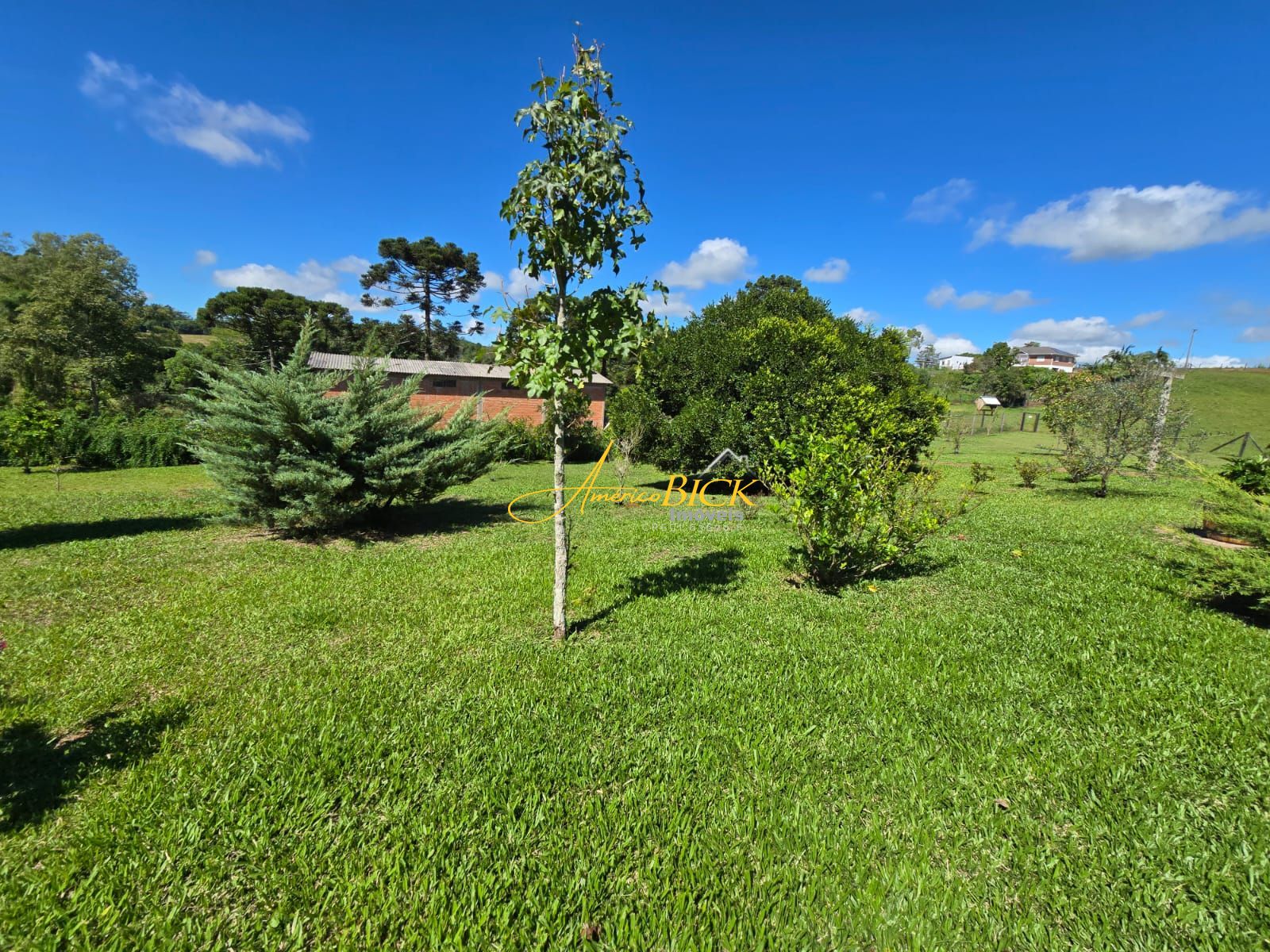img87328827