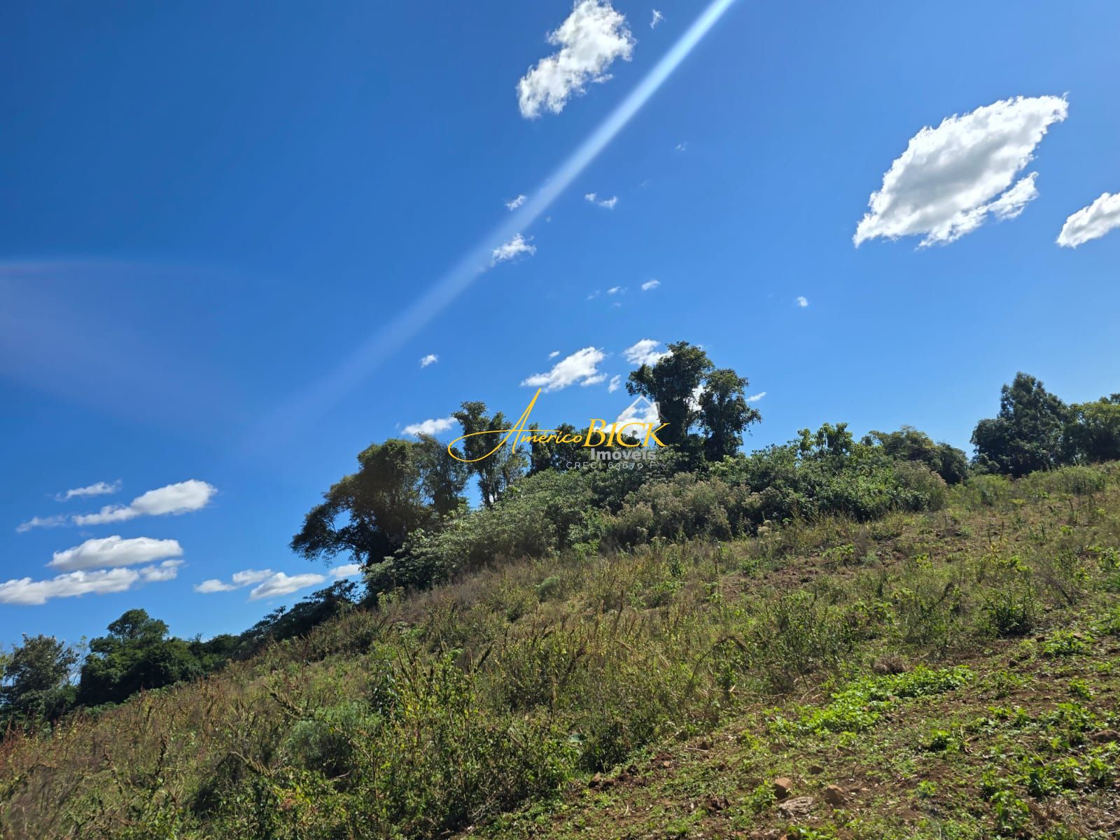 img164982386