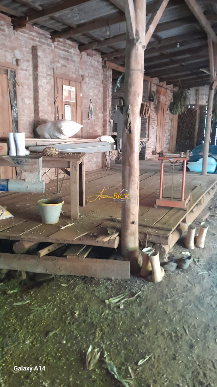 img129581790