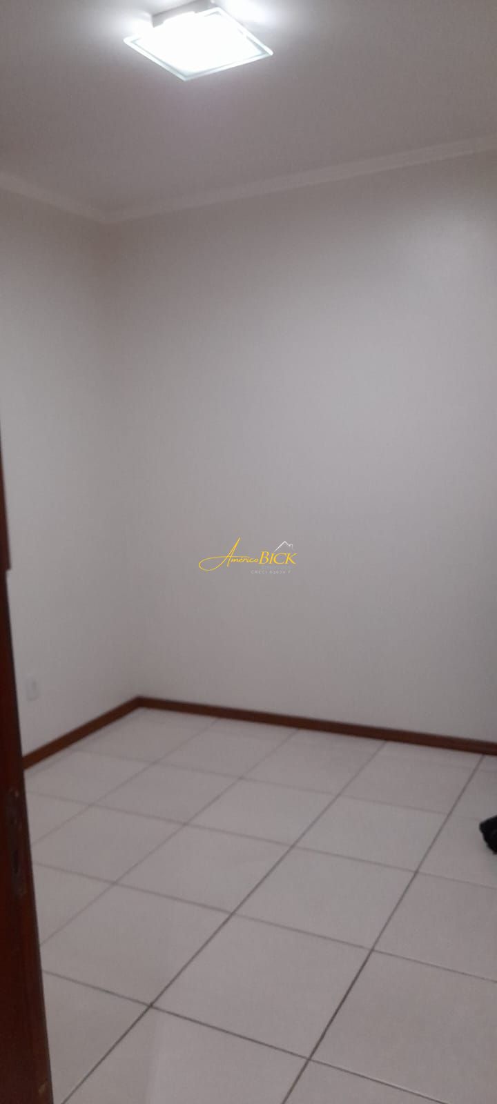 img67049410
