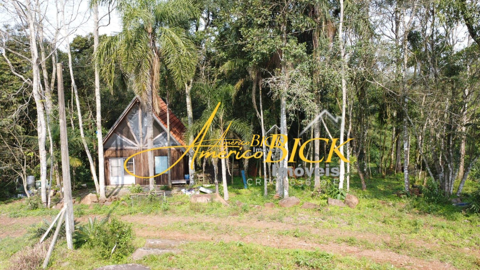 img73313352