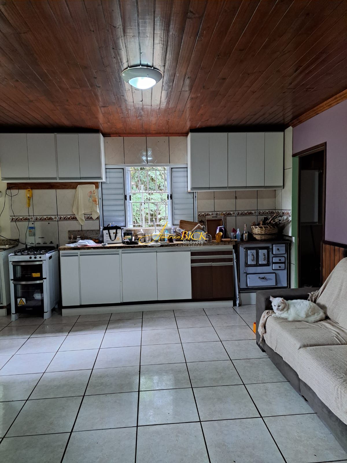 Sítio à venda com 3 quartos, 220m² - Foto 16