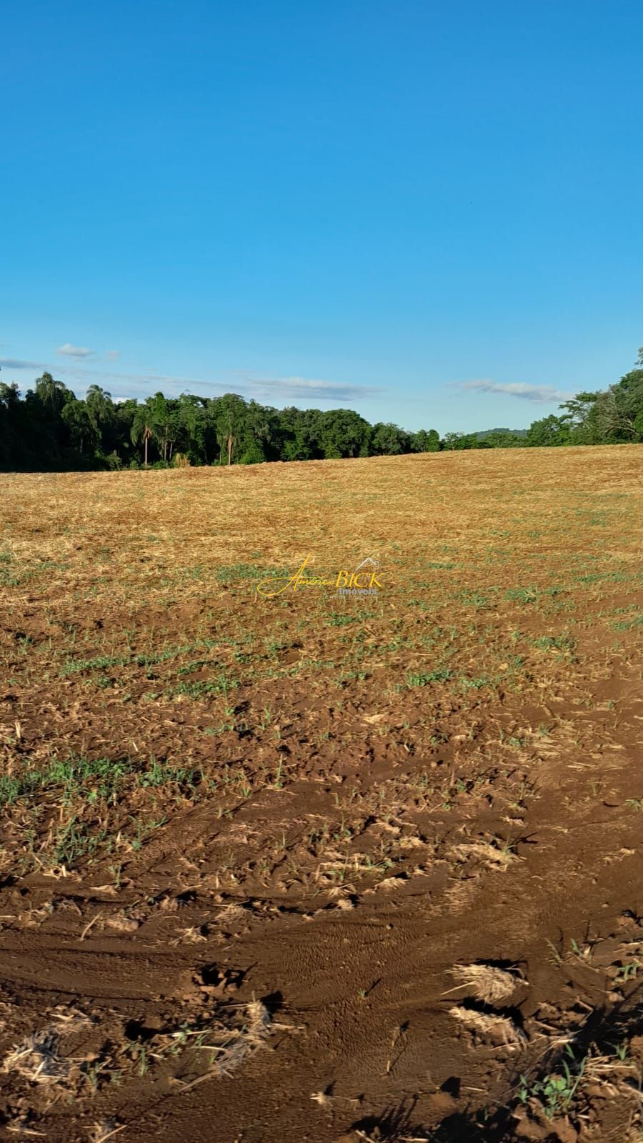 Fazenda/sítio/chácara/haras à venda  no Henrique Dávila - Vera Cruz, RS. Imóveis