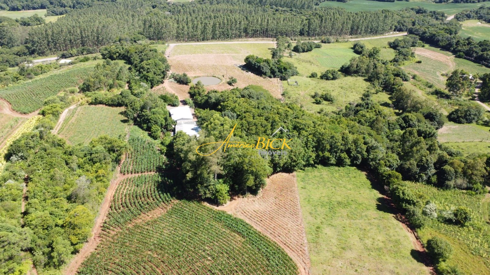 Fazenda à venda com 3 quartos, 150m² - Foto 6