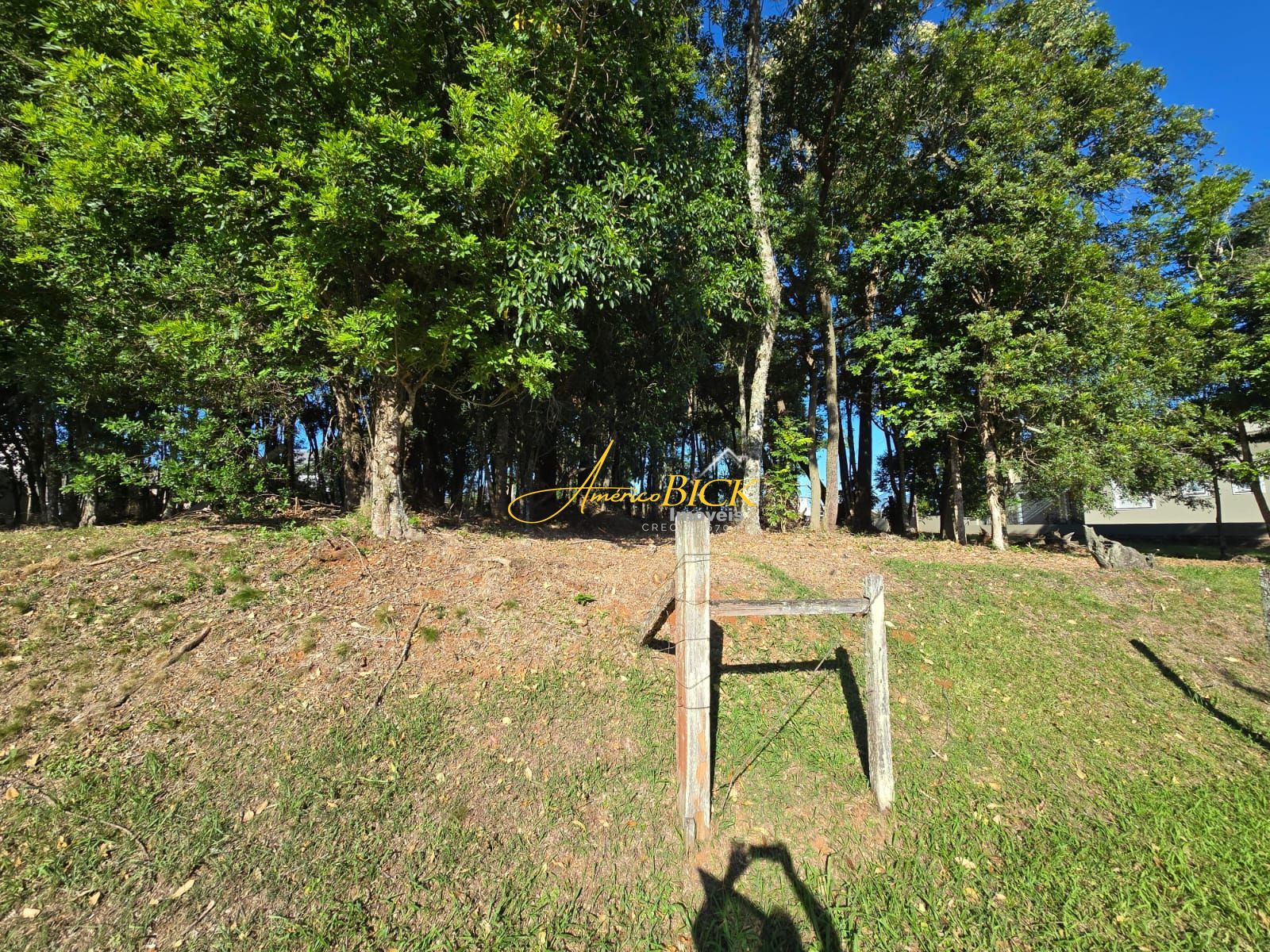 img120583139