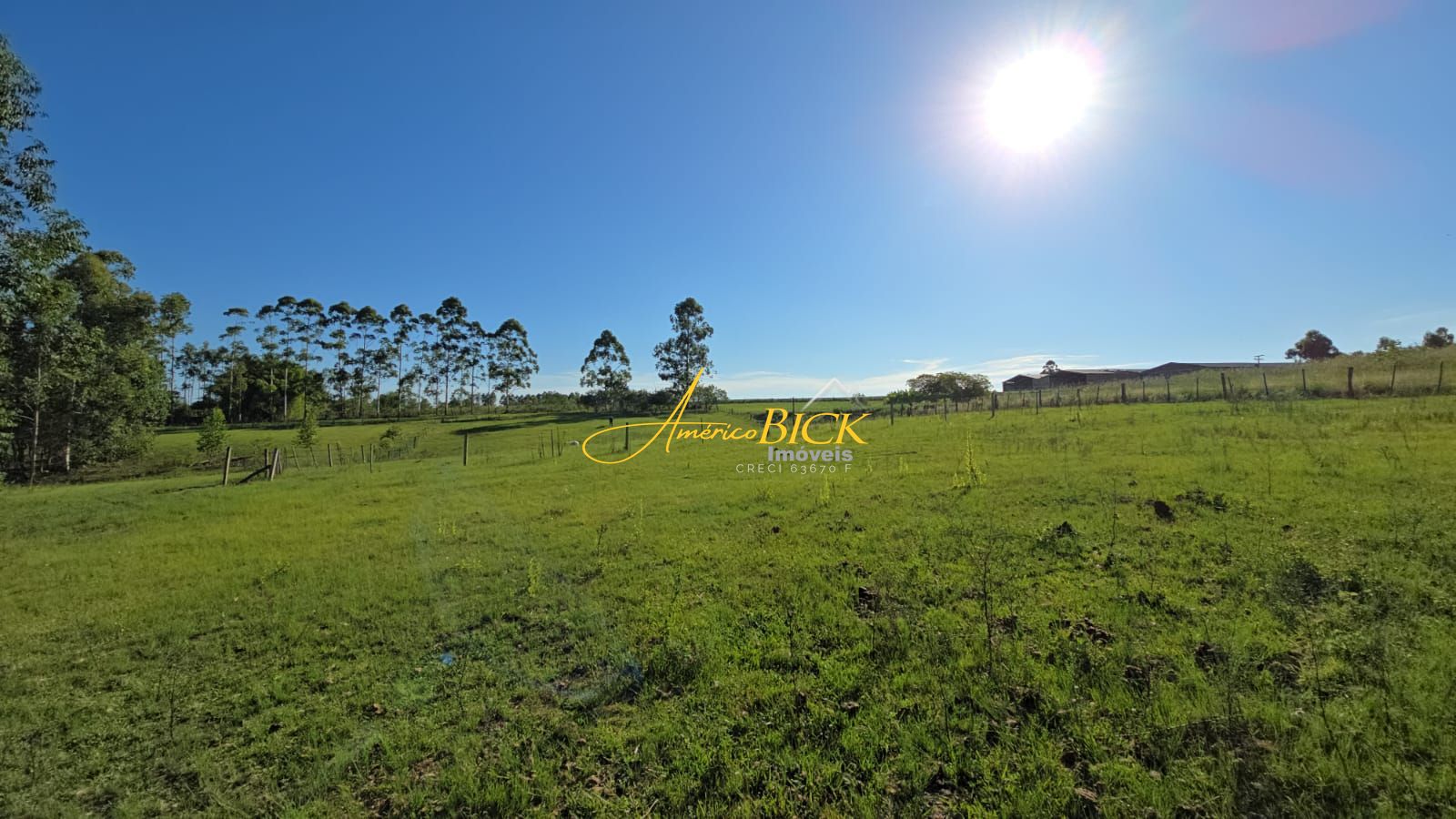 Fazenda à venda com 1 quarto, 280m² - Foto 8