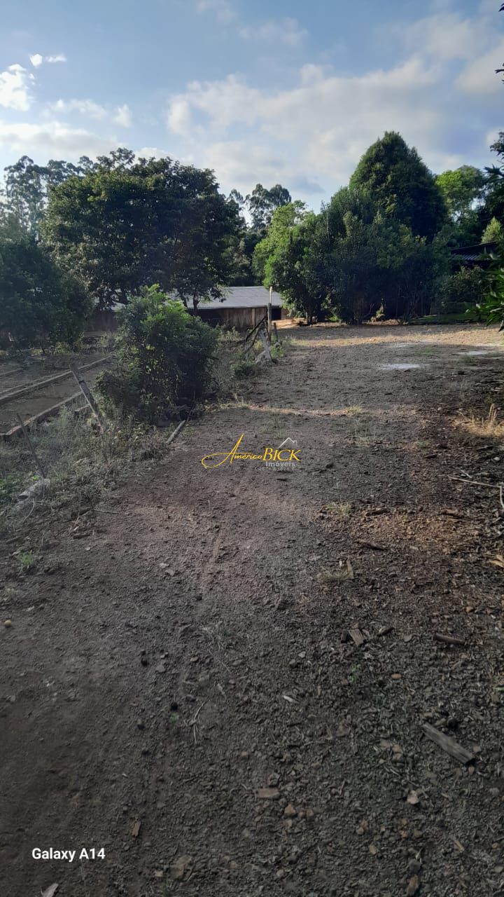 img129581755