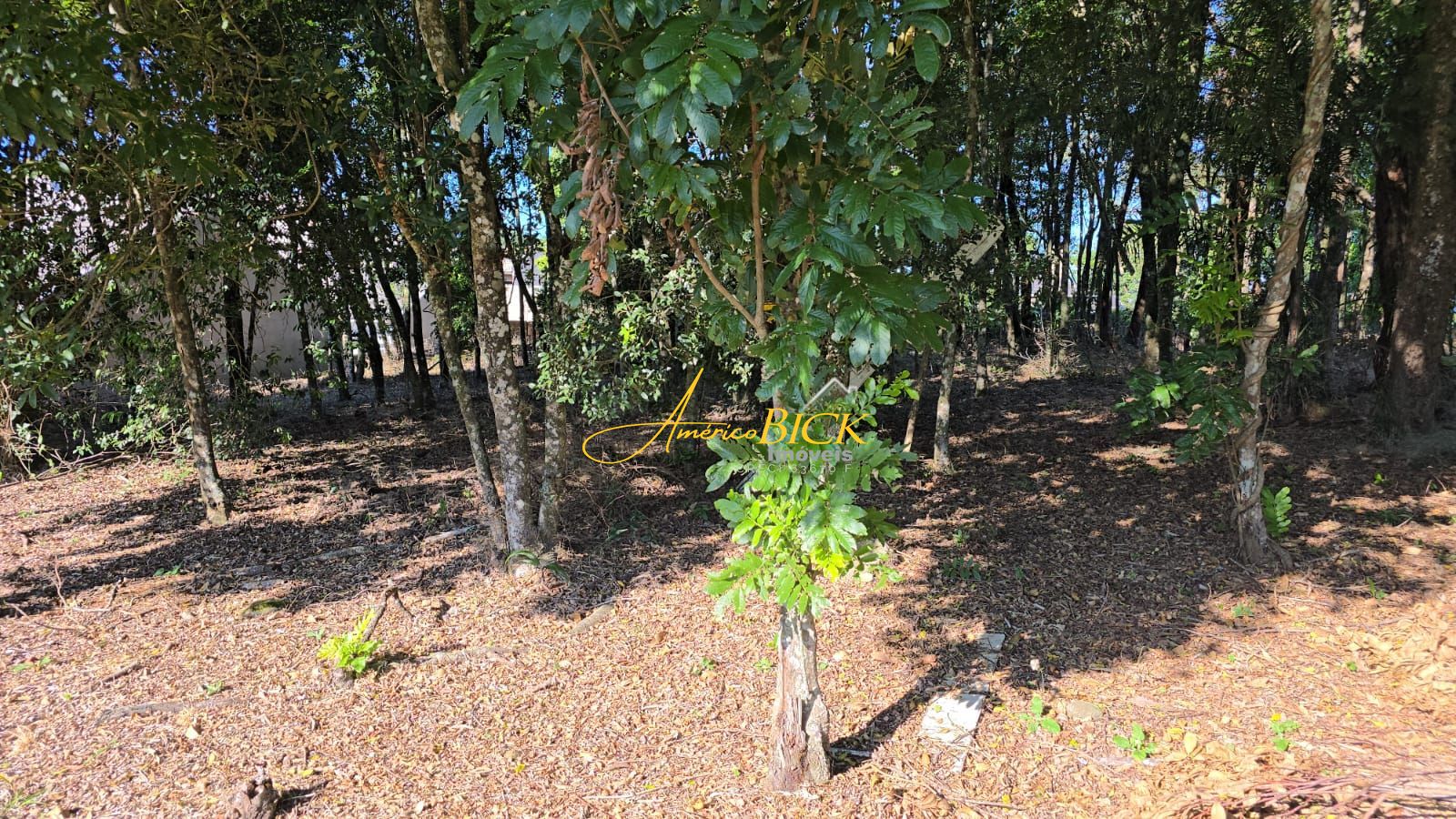 img120583137
